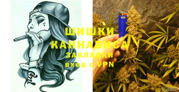 шишки Аркадак