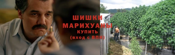 шишки Аркадак