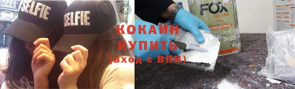 шишки Аркадак