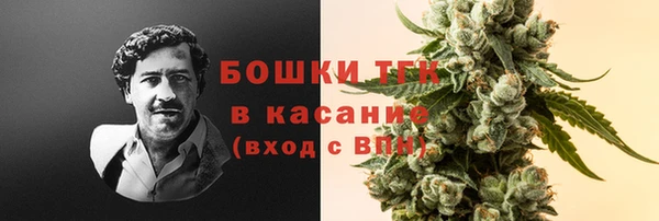 шишки Аркадак