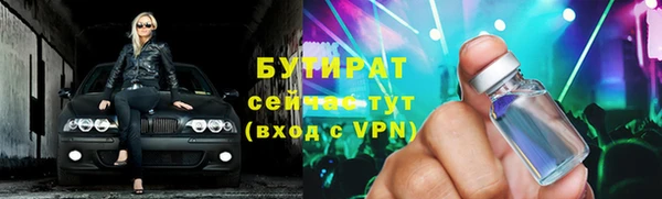шишки Аркадак