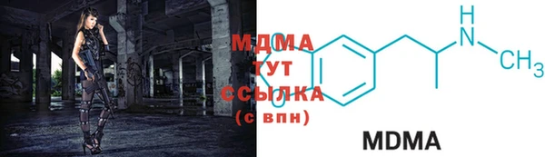 шишки Аркадак