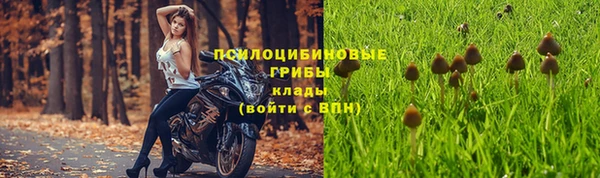 2c-b Арсеньев