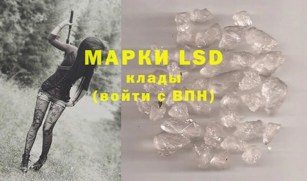 шишки Аркадак