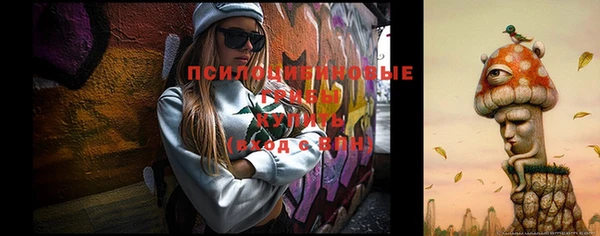 альфа пвп Армянск
