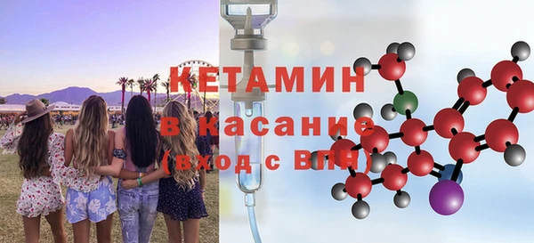 шишки Аркадак